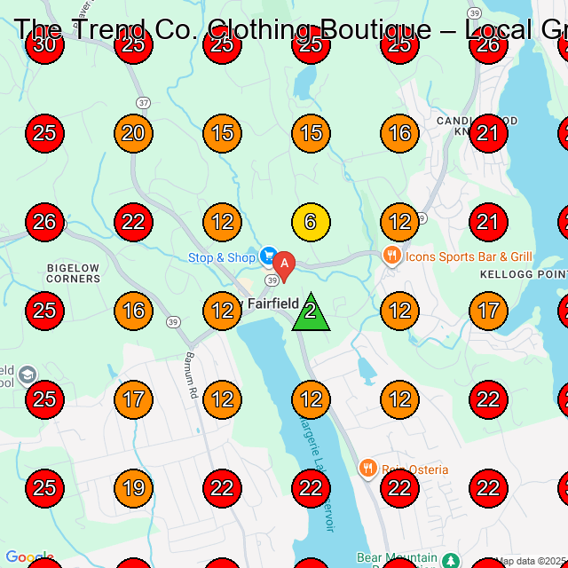 The Trend Co. Clothing Boutique GeoGrid visibility map for Appliance Repair Service in New Fairfield